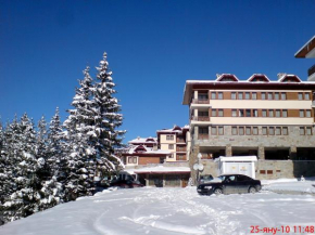 Гостиница Deluxe Room in Stoykite  Пампорово